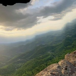 Meet your Posher, Joy